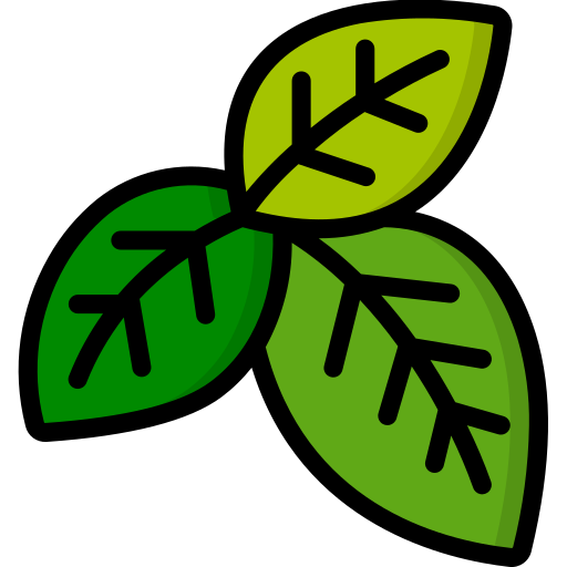 Heiliges Basilikum Rezepte