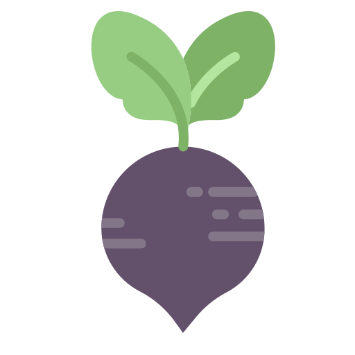 Schwarzer Rettich Rezepte